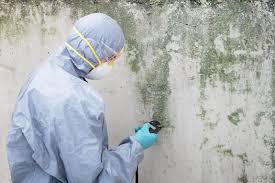 Best Mold Documentation for Insurance Claims  in Dublin, GA